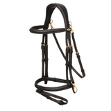 Brown horse bridle with gold hardware on a white background