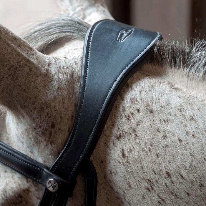 Close-up of a black horse bridle on a grey horse
