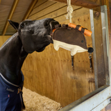 Horse interacting with a hanging toy in a stable.