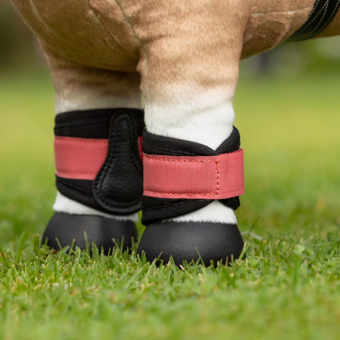 Horse's legs with red and black protective booties on grass