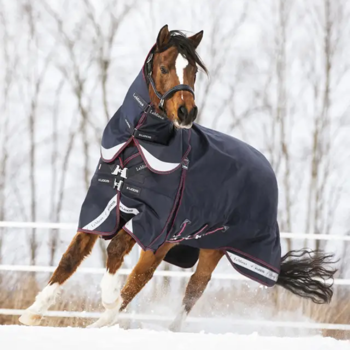 Horse canters in the snow wearing a navy turnout rug