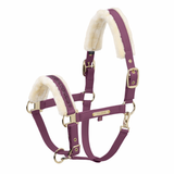 Purple horse headcollar with white fur lining on a white background