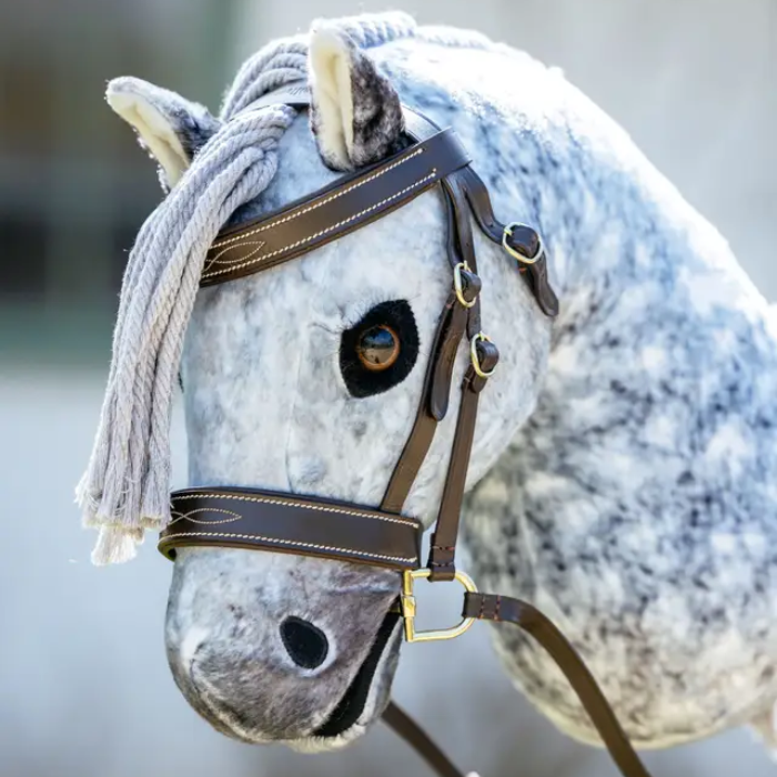 Close-up of a horse's head wearing a bridle with a blurred background