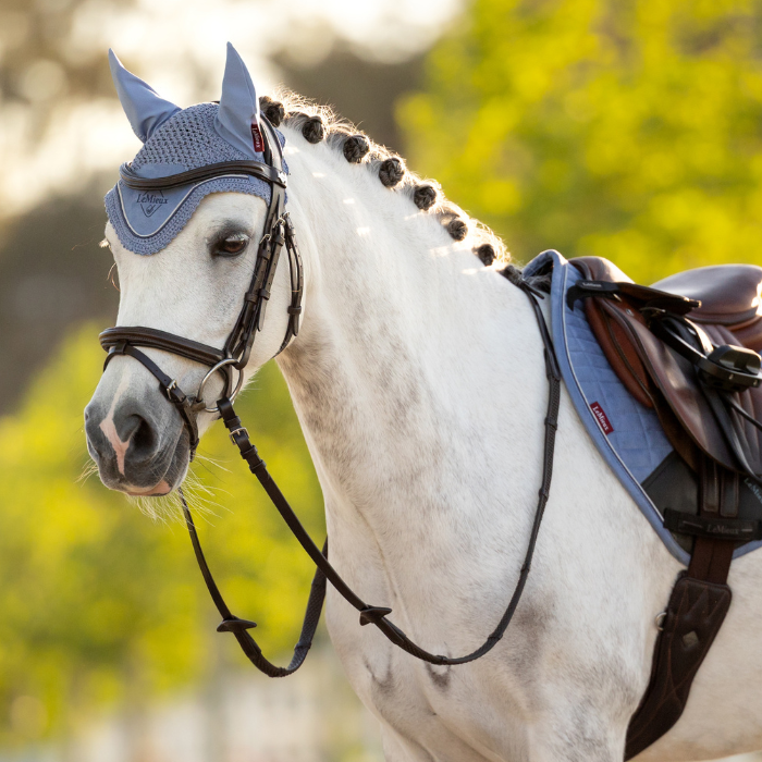 White horse with a blue bridle and saddle in a natural setting