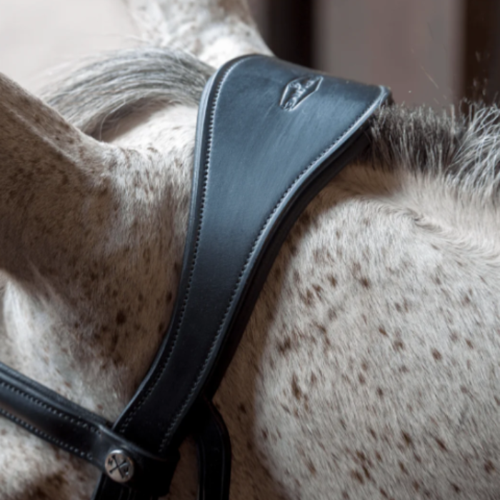 Close-up of a horse's head with a leather bridle and a blurred background