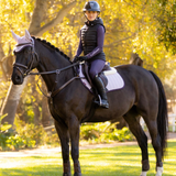 Horse wears purple saddle pad and matching ear bonnet in an outdoor setting