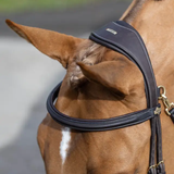 Close-up of a horse wearing a brown bridle with a blurred background