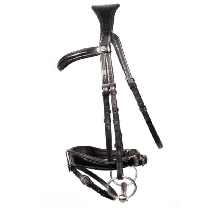 Black leather bridle on a white background