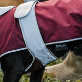 Horse wearing a red and grey raincoat with 'REINCOAT' label in a natural setting.