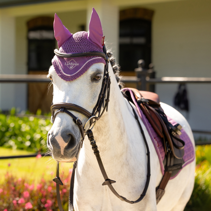 White horse wearing a pink fly hood with pink ear covers in an outdoor setting.