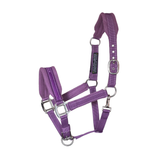 Purple horse halter with metal hardware on a white background