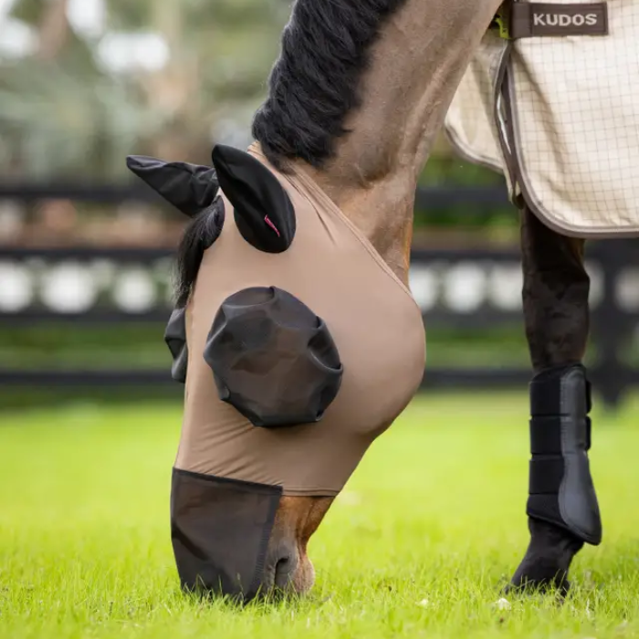 Horse wearing a fly mask in a grassy field