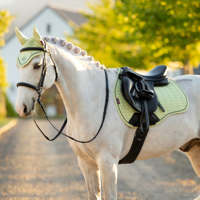 Grey horse wears yellow saddle pad and matching ears in an outdoor setting