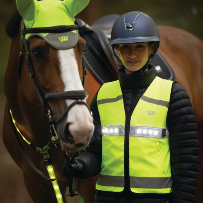 Person wearing a high-visibility vest standing next to a horse in a natural setting