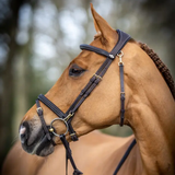 Close-up of a horse wearing a bridle with a blurred natural background