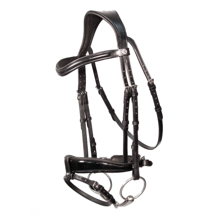 Black leather horse bridle on a white background