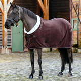 Horse wearing a brown rug with white trim in an outdoor setting
