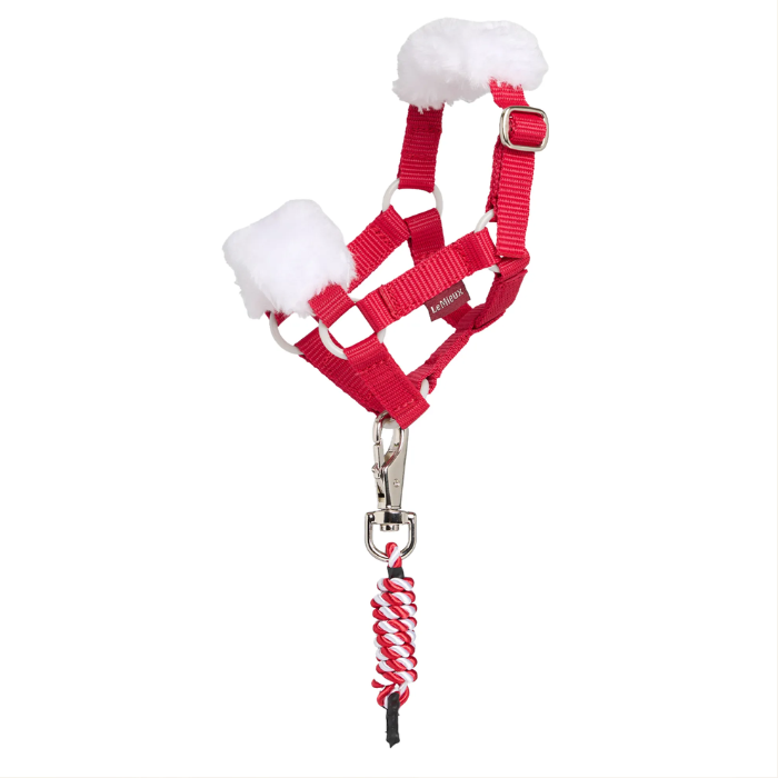 Red headcollar and lead rope set with white padding on a white background
