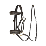 Brown leather horse bridle with reins on a white background