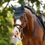 Horse wearing a teal mesh fly hood in an outdoor setting