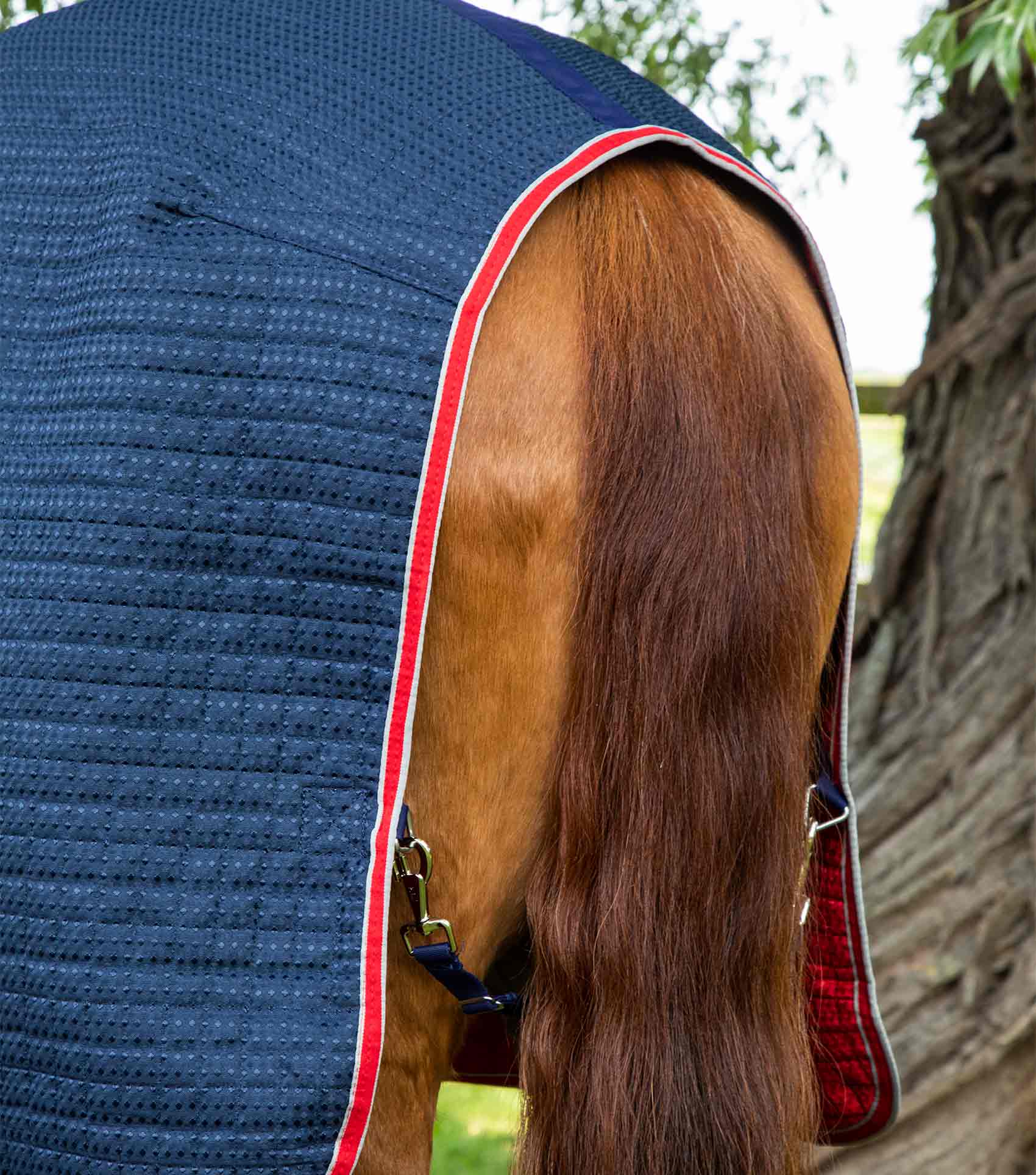 Premier Equine Dry-Tech Horse Cooler Rug-Under Rugs & Liners-Eland Lodge