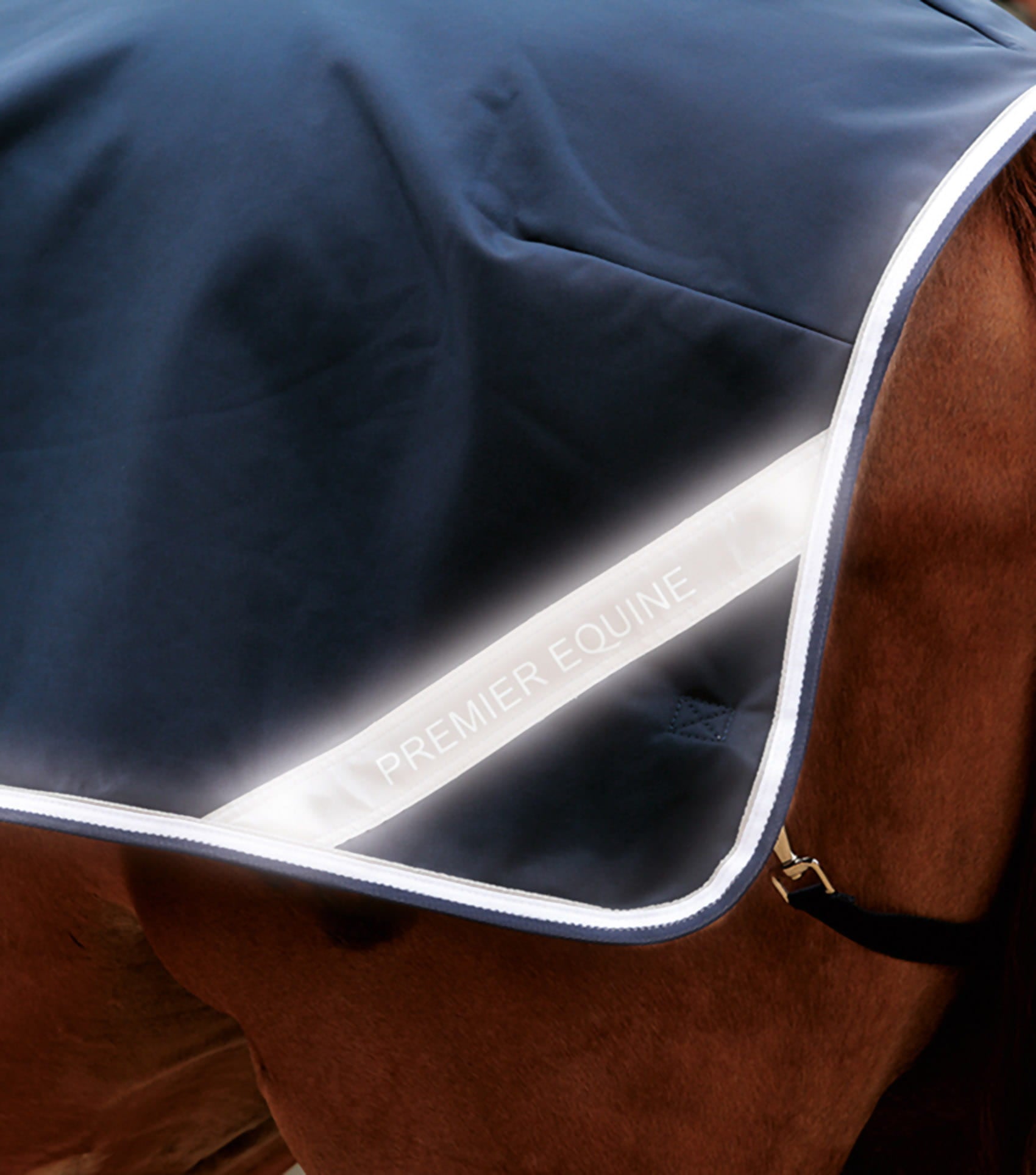 Premier Equine Exercise/Competition Sheet-Exercise Sheets-Eland Lodge
