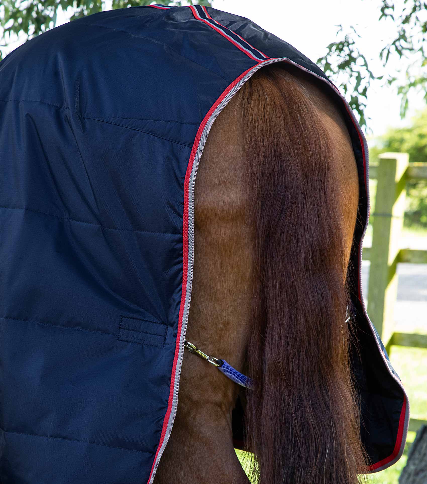 Premier Equine Stable Buster 100g Lite-Stable Rugs-Eland Lodge
