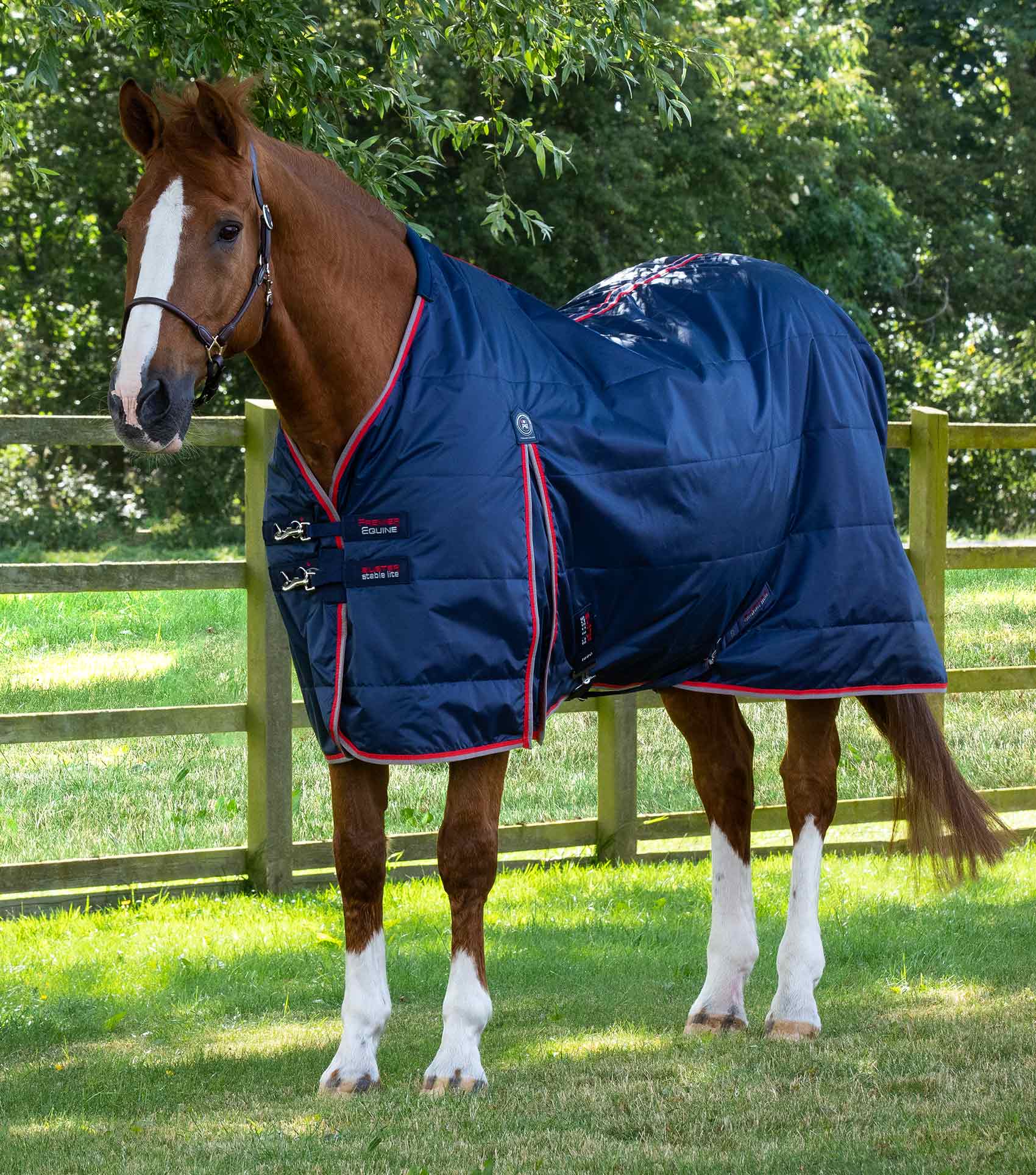 Premier Equine Stable Buster 100g Lite
