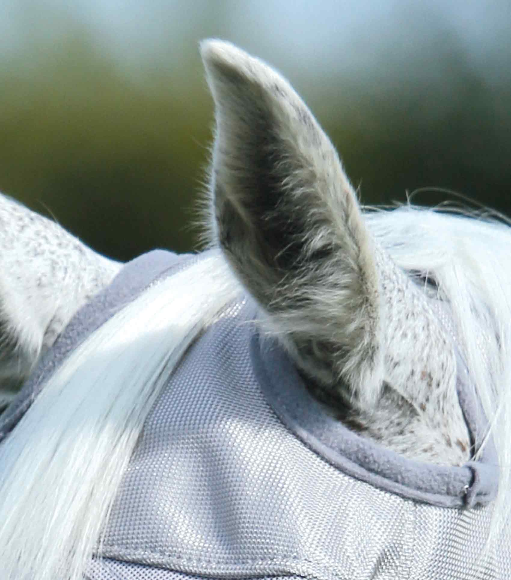 Premier Equine Standard Buster Fly Mask - No Ears-Fly Masks & Veils-Eland Lodge