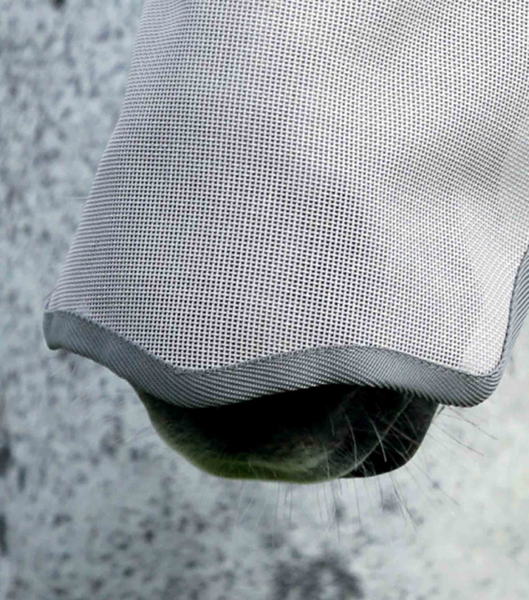 Premier Equine Xtra Buster Fly Mask-Fly Masks & Veils-Eland Lodge