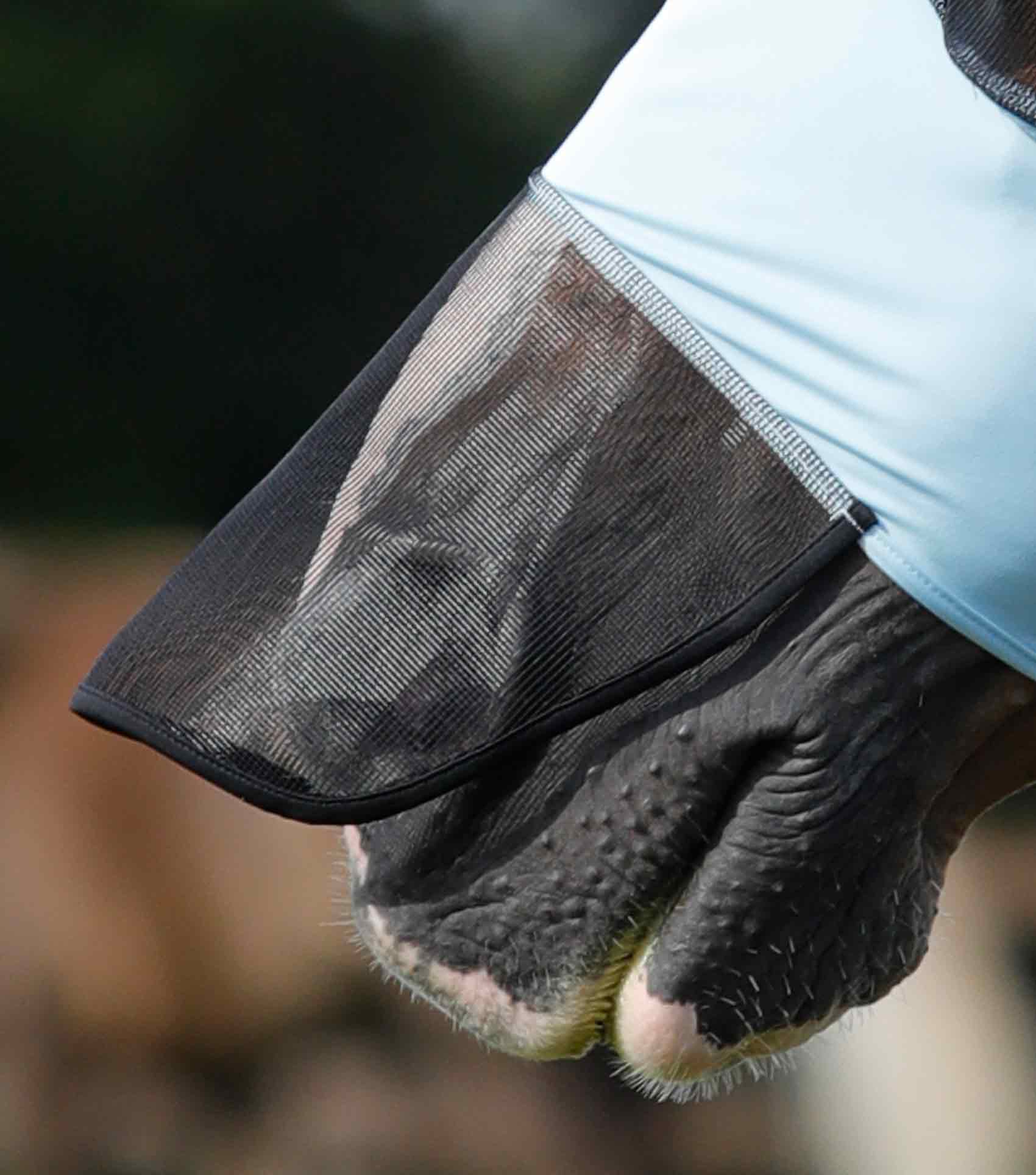 Premier Equine Xtra Comfort Tech Lycra Fly Mask-Fly Masks & Veils-Eland Lodge