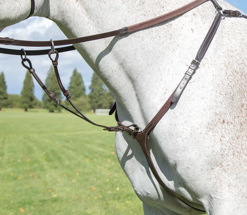 Shires Avignon Breastplate-Breastplates & Martingales-Eland Lodge
