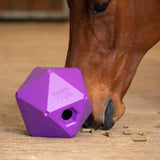 Shires Ball Feeder-Yard & Stable Accessories-Eland Lodge