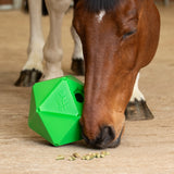 Shires Ball Feeder-Yard & Stable Accessories-Eland Lodge