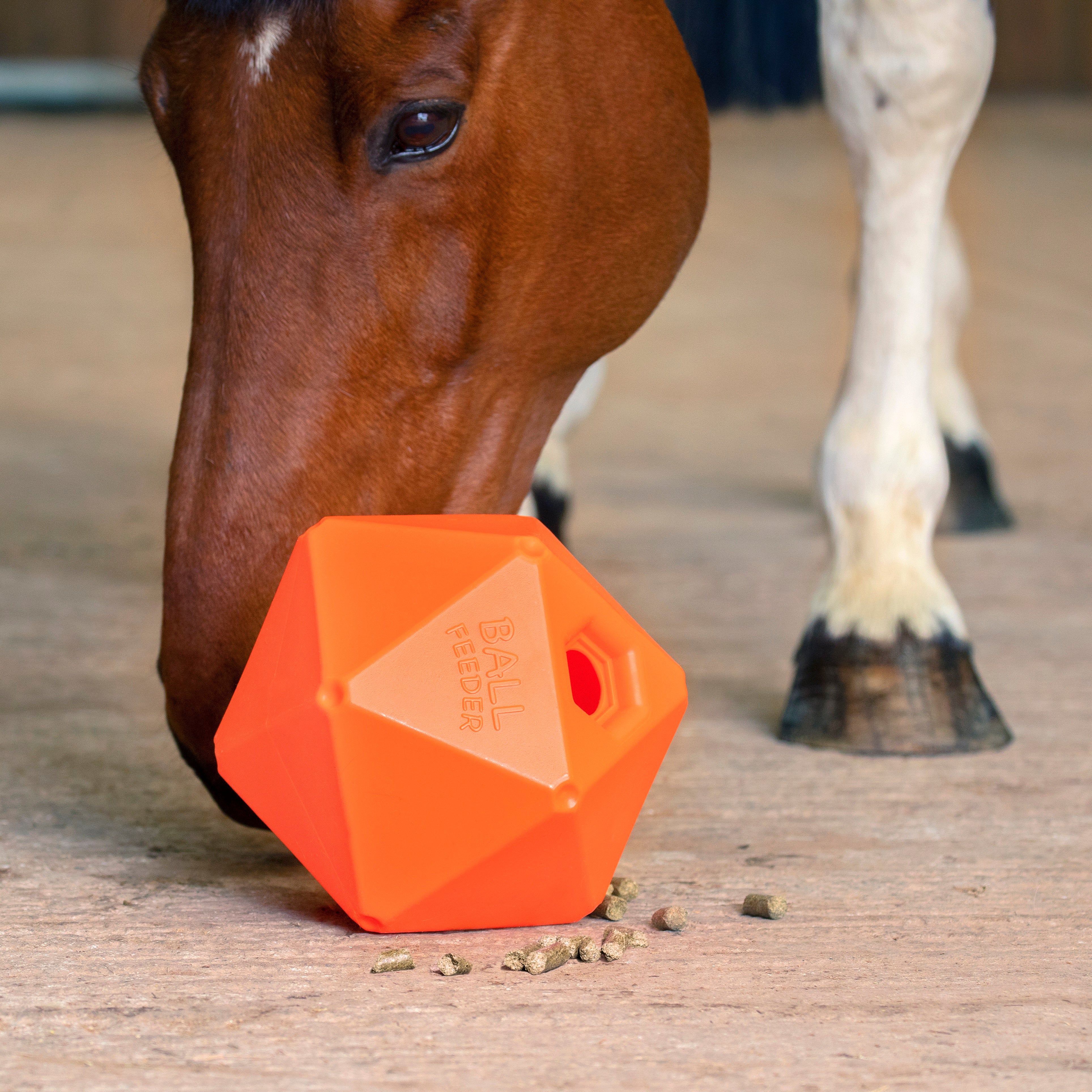 Shires Ball Feeder-Yard & Stable Accessories-Eland Lodge
