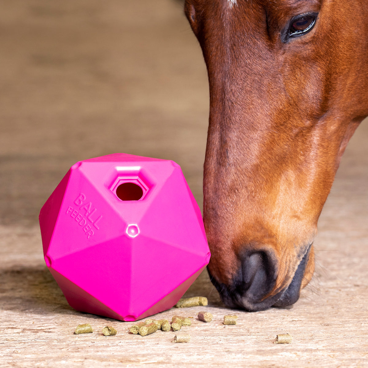 Shires Ball Feeder-Yard & Stable Accessories-Eland Lodge