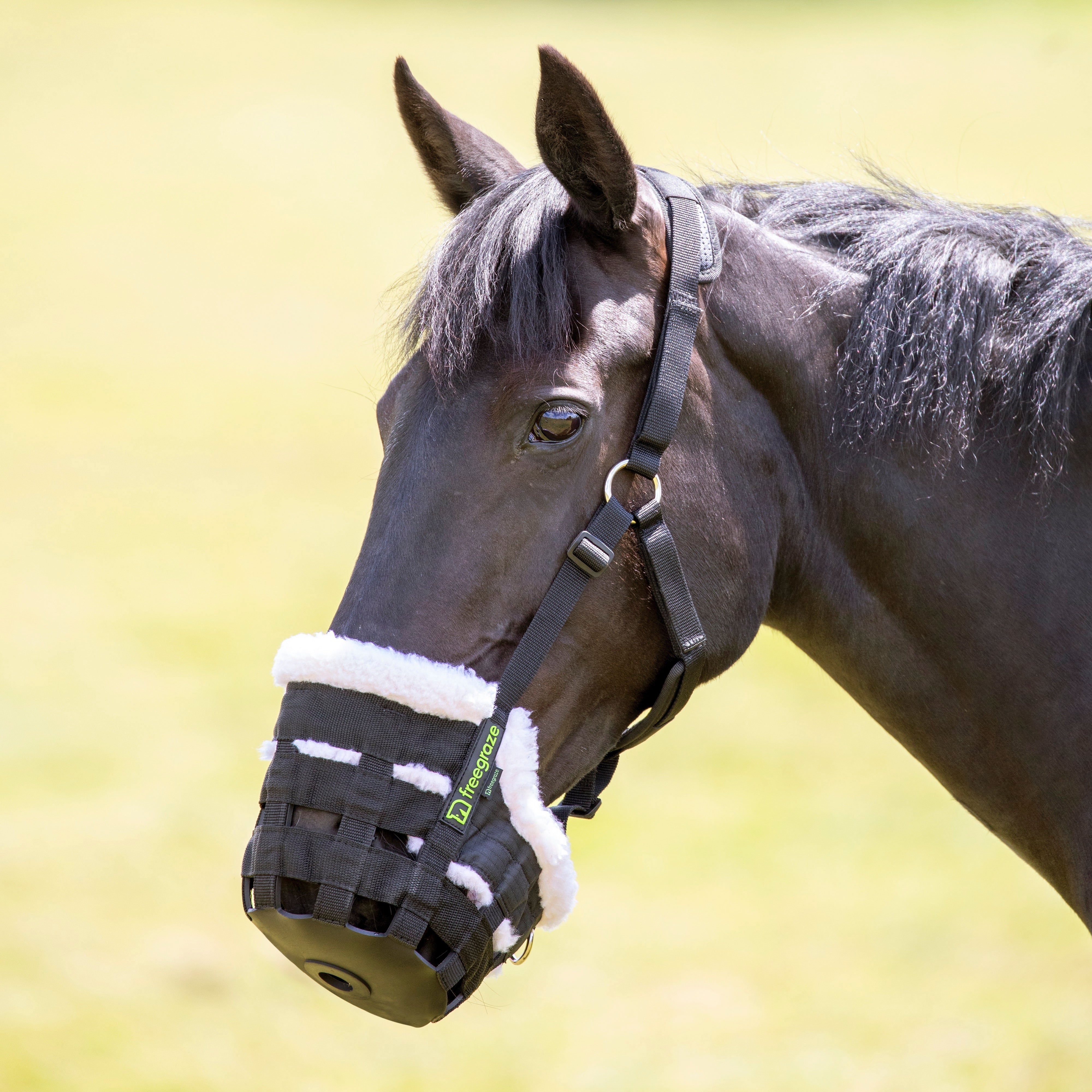 Shires Deluxe Comfort Grazing Muzzle-Grazing Muzzles-Eland Lodge