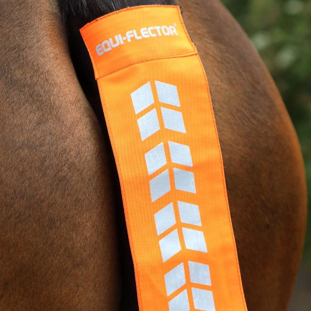 Shires EQUI-FLECTOR Tail Strap-Hi Viz For The Horse-Eland Lodge