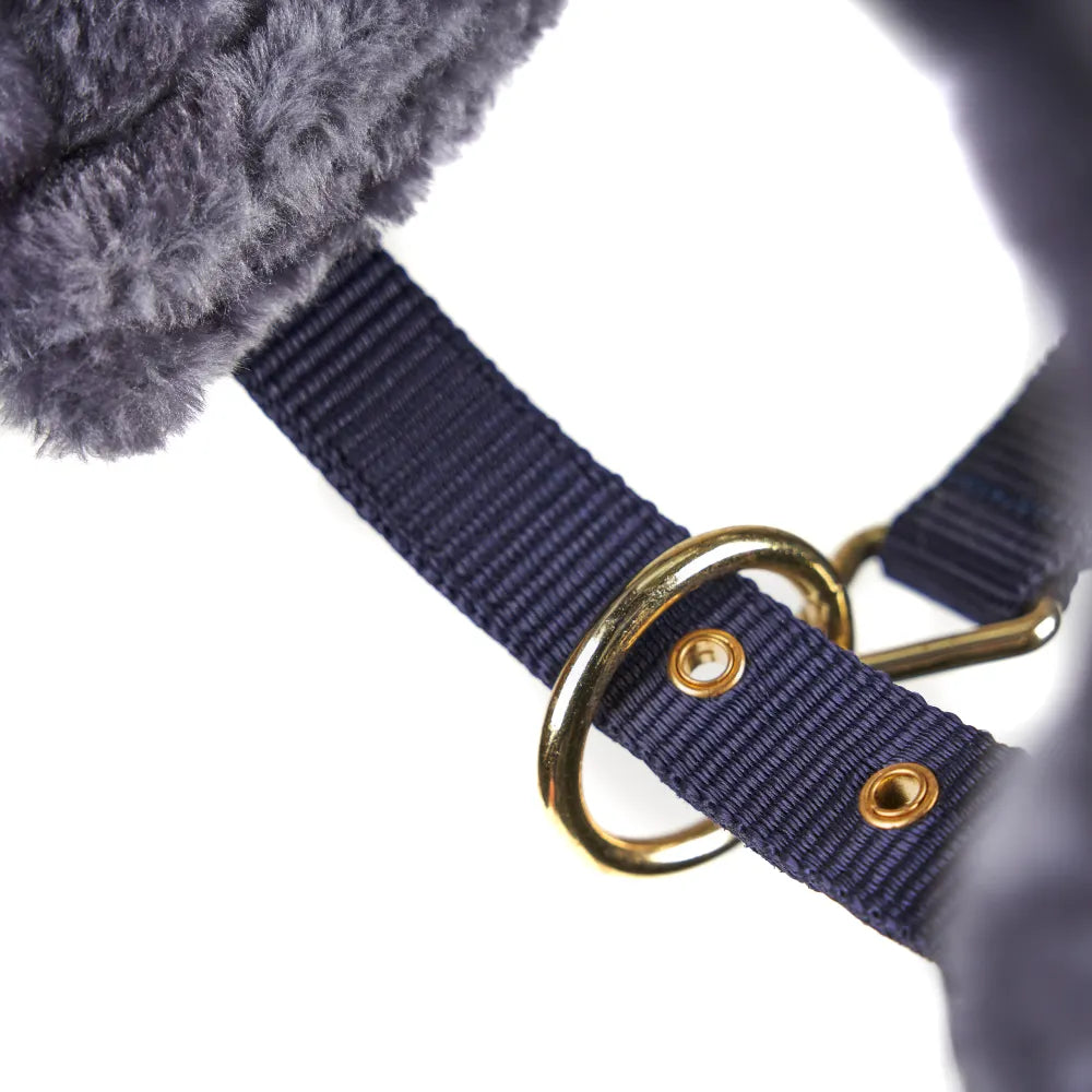 Shires Fleece Lined Lunge Cavesson-Stable, Exercise and Polo Bandages-Eland Lodge