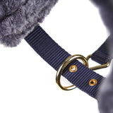 Shires Fleece Lined Lunge Cavesson-Stable, Exercise and Polo Bandages-Eland Lodge