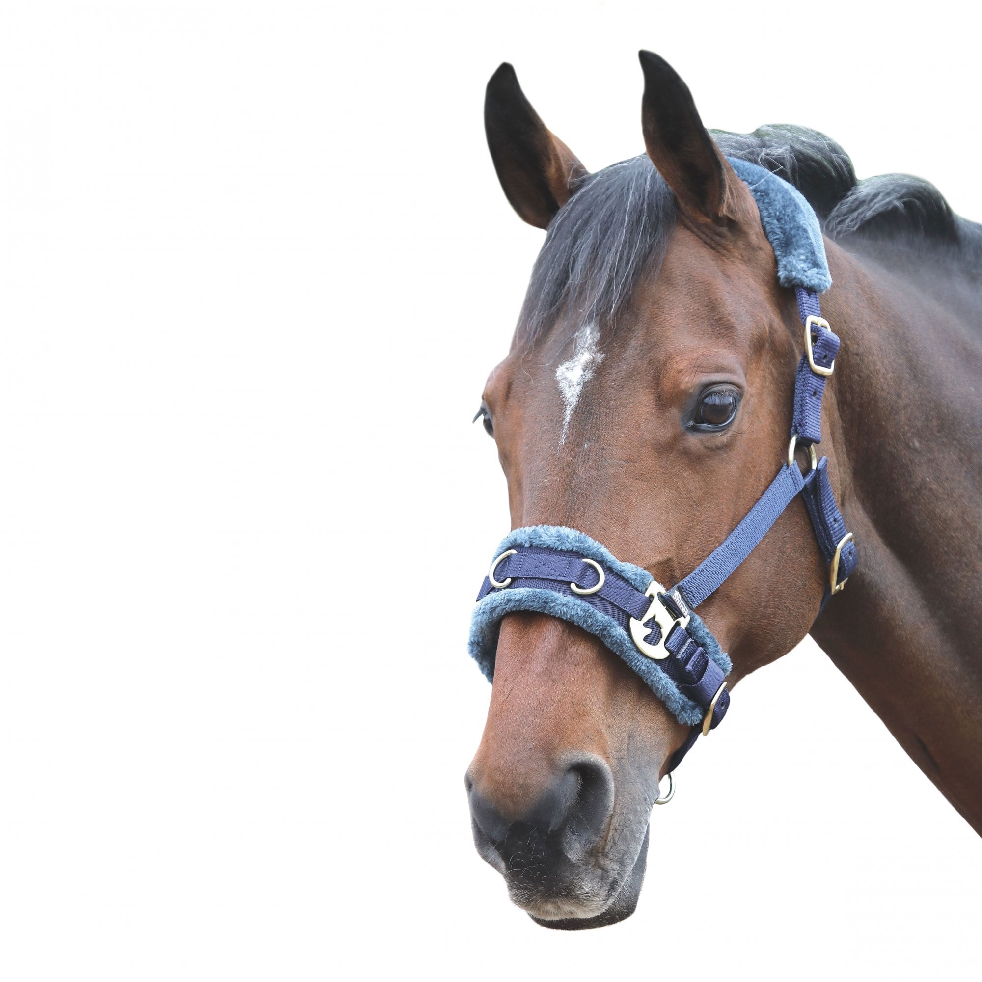 Shires Fleece Lined Lunge Cavesson-Stable, Exercise and Polo Bandages-Eland Lodge