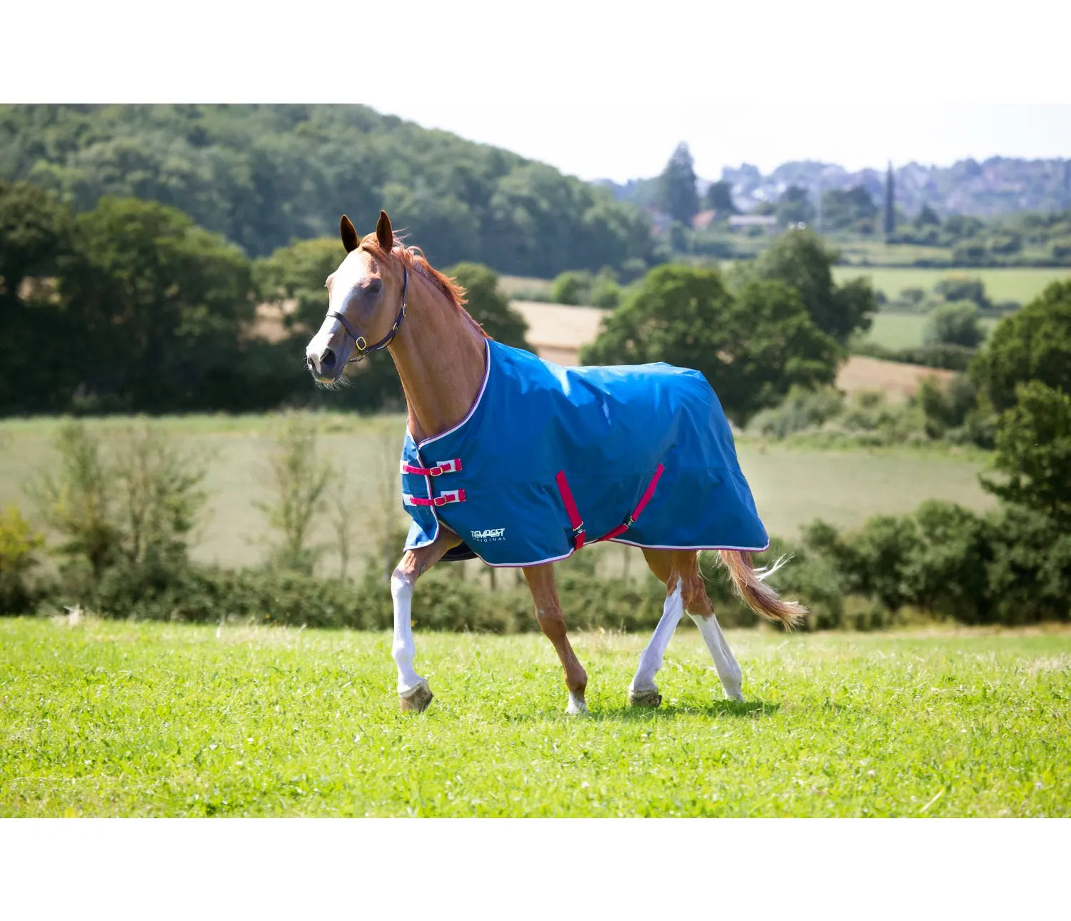 Shires Original Lite 0g Turnout Rug-Turnout Rugs-Eland Lodge