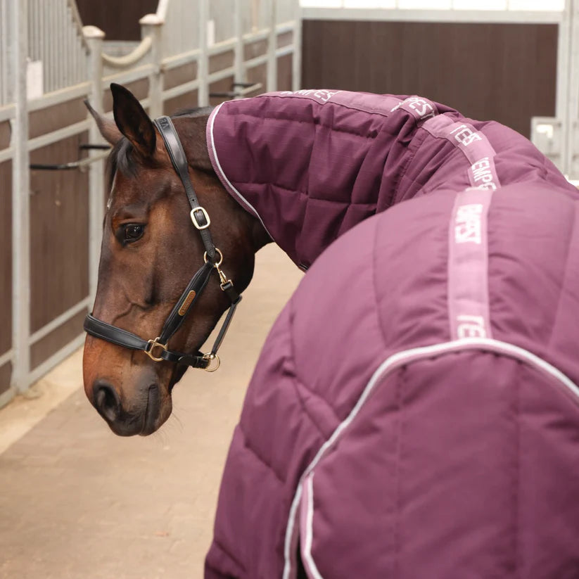 Shires Tempest Original 300g Stable Rug & Neck-Stable Rugs-Eland Lodge