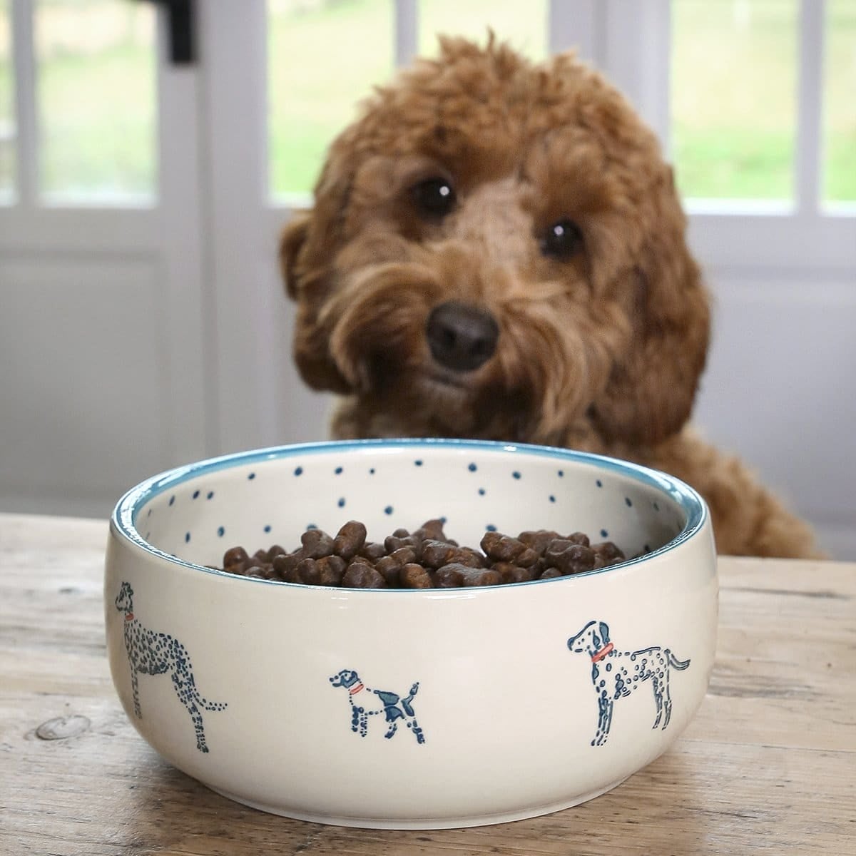 Sophie Allport Fetch Stoneware Dog Bowl-Eland Lodge