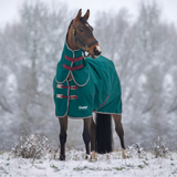 Horse wearing a green rug in a snowy landscape
