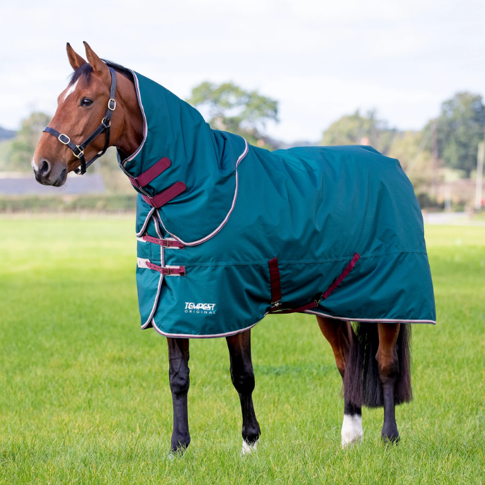 Tempest Original 200g Turnout Rug & Neck Set in Green