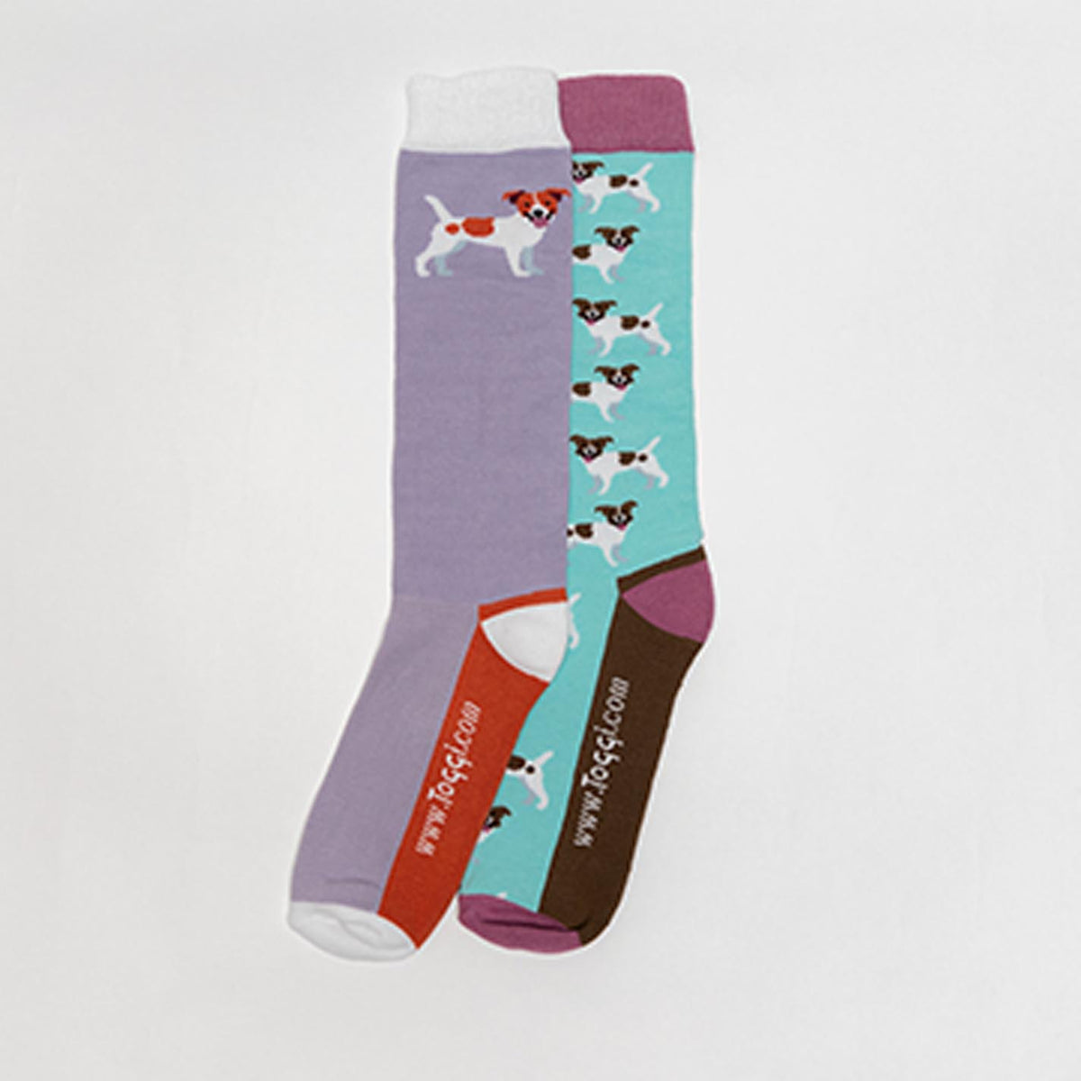 Toggi Ladies Cute Terrier Socks 2 Pack