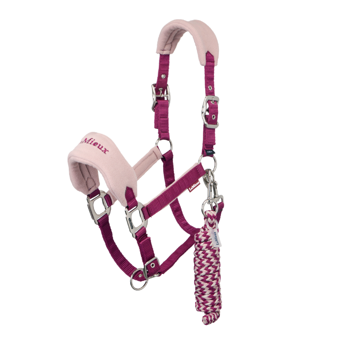LeMieux AW26 Vogue Headcollar & Leadrope Variant Colour Blackberry.
A pink and magenta horse halter with silver metal hardware and a matching pink and magenta lead rope, shown on a solid white background.