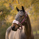 LeMieux AW26 Vogue Headcollar & Leadrope Variant Colour Blackberry.
A dark brown horse wearing a burgundy halter and a white blind eyeband with burgundy lettering, set against a soft-focus autumn forest background.