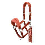 LeMieux AW26 Vogue Headcollar & Leadrope Variant Colour Russet.
A rust-colored dog halter with a matching lead rope, featuring padded noseband and crownpiece, silver metal buckles, and the brand name 'LeMieux' printed on the noseband, shown against a plain white background.